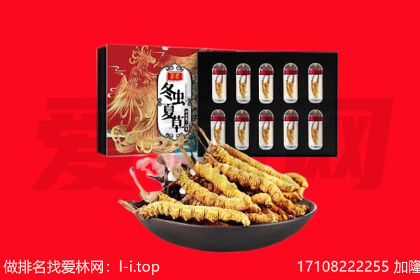 伊犁州托里县回收虫草.jpg